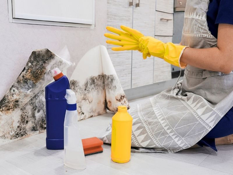 woman preparing for deep cleaning