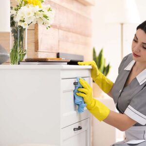 Professional Cleaning Services Chicago 2 "YBH maid service cleaning kitchen in Park Ridge home" cleaning services park ridge